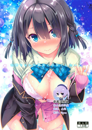 Onee-chan wa Gitei to Nakayoku shitai. gallery cover