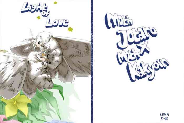 Light of Love gallery cover