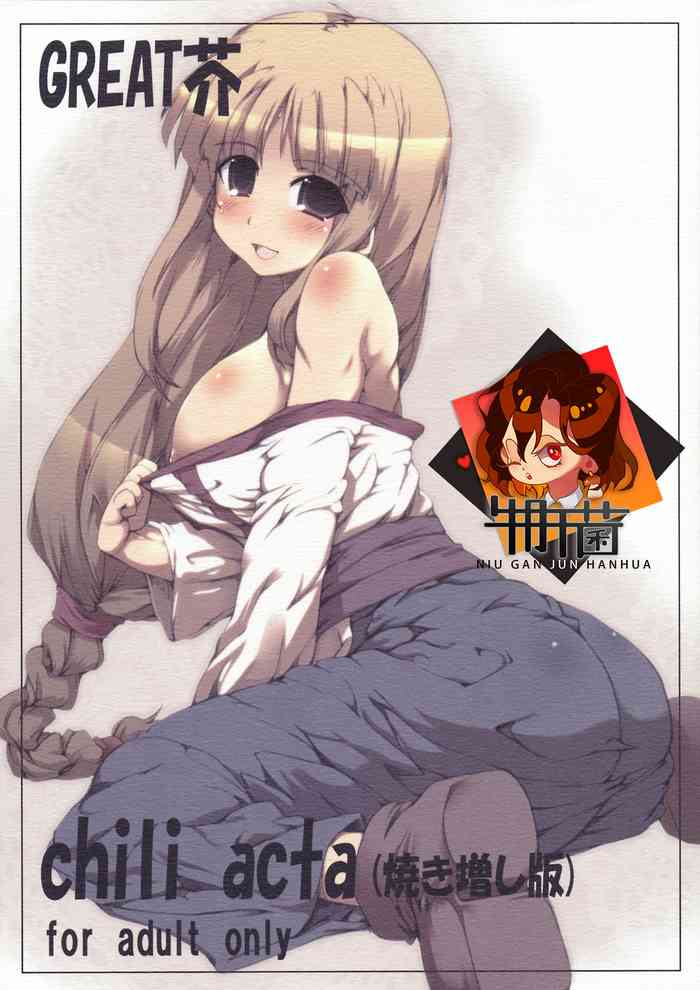 chili acta gallery cover