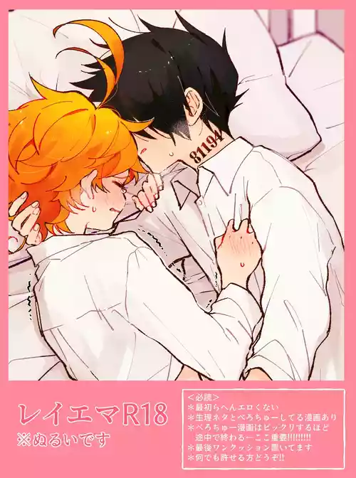 [Shinkawa] Ray/Emma Log [Digital]