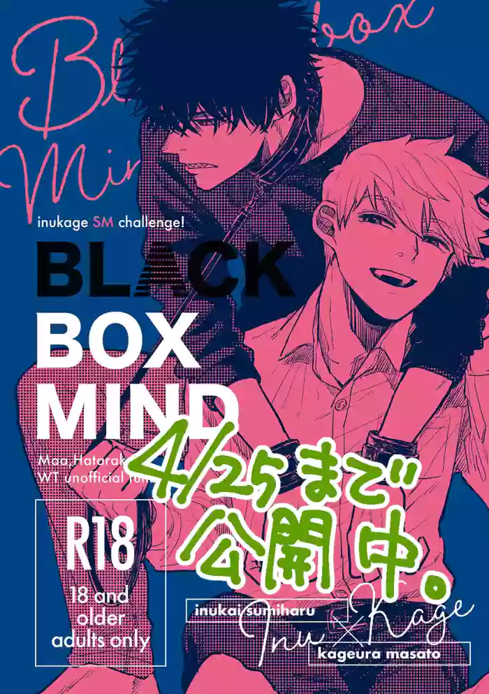 BLACK BOX MIND