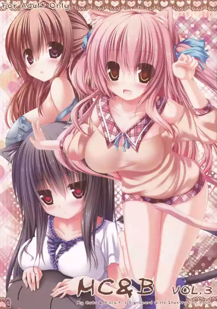 My Cats & Biscuit Vol.3