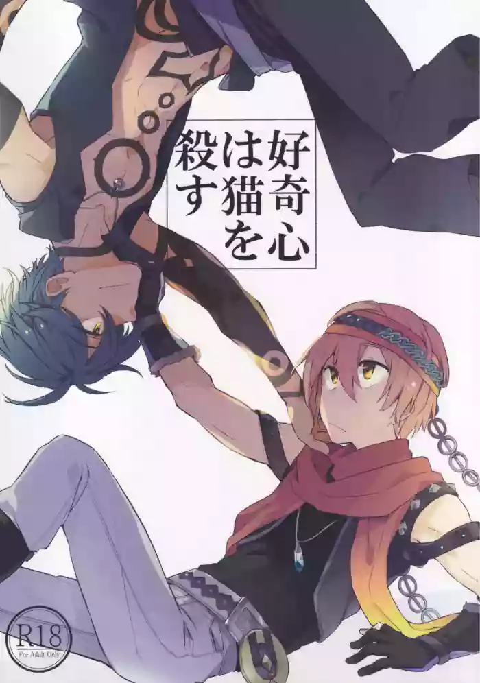 Curiosity kills cats