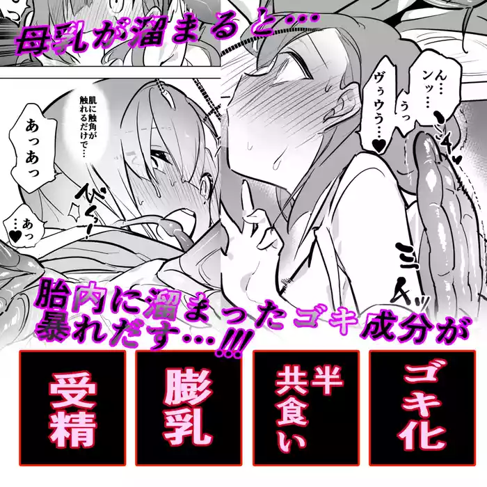 Hitogoki x Gokimesu Shinka-kei gallery cover
