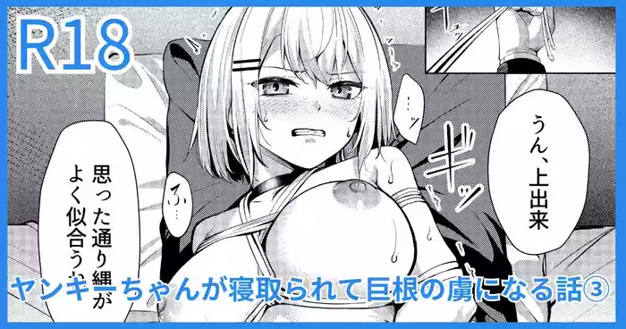 Yankee JK, NTR Kyokon Ochi