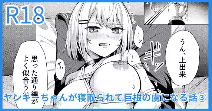 Yankee JK, NTR Kyokon Ochi