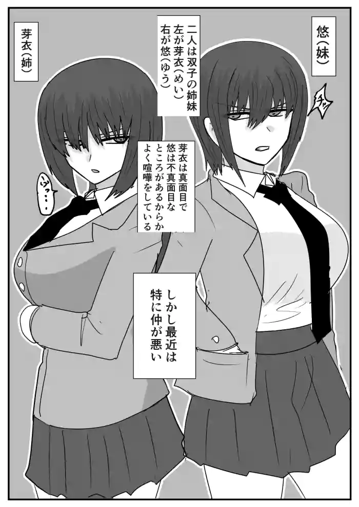 Ni Tenai Futago no Onnanoko no Hanashi