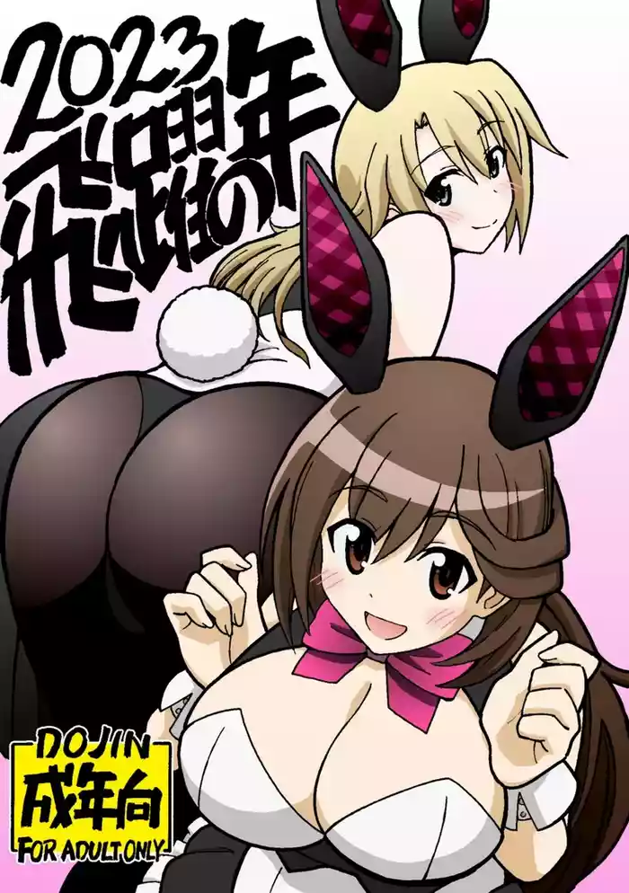 hiyaku no tosi gallery cover from alice gear aegis