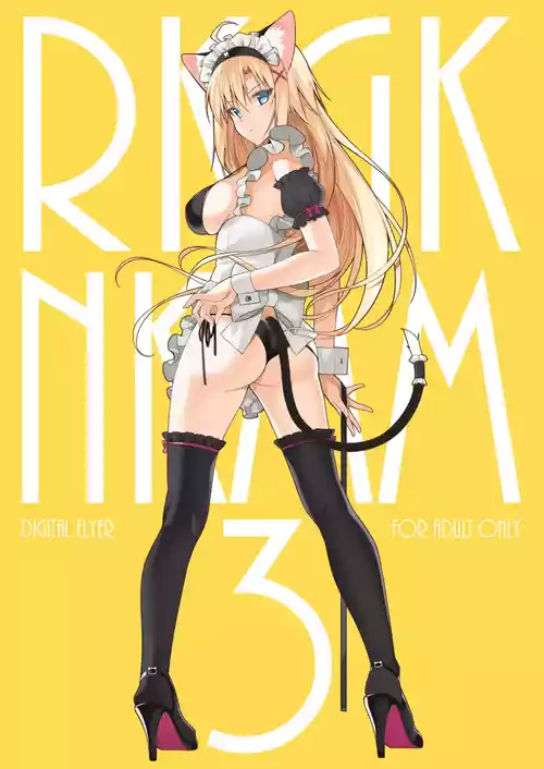 [Digital Flyer (Oota Yuuichi)] RKGKNKMM3 [Digital]