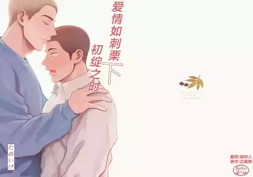 [Tame ike san'nō hōmen (tameike) ] igaguri ga wareru koro ni (下) | 爱情如刺栗初绽之时(下) [Chinese] [马栏山汉化组] [Digital]