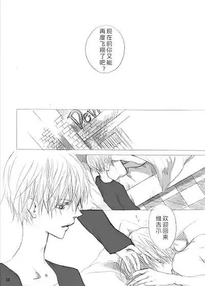 Page 13 of [PILZ(希乃)]青いカナリヤ 白いアゲハ [Dante x Vergil](Devil May Cry) [Chinese]