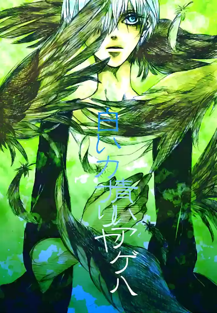 青いカナリヤ 白いアゲハ