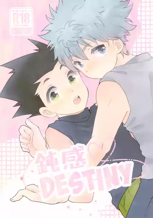 (Re:HUNTER 11) [SHIROZONE (Mizushiro Yuduki)] Donkan DESTINY (Hunter x Hunter)