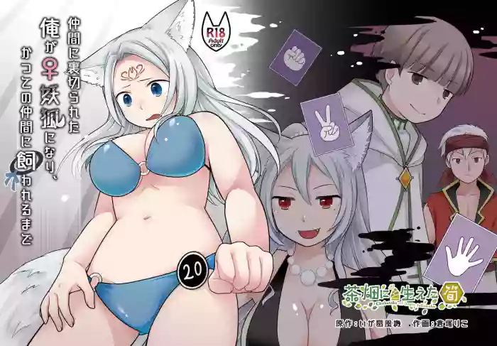 Nakama ni Uragirareta Ore ga Mesu Youko ni Nari, Katsute no Nakama ni Kawareru made