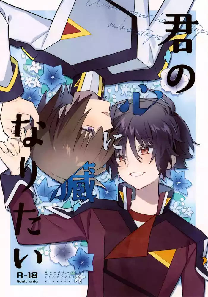 Kimi no Shinzou ni Naritai