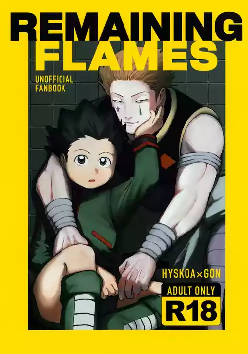 (Re:HUNTER 11) [COMPOTE (Himisuya)] REMAINING FLAMES (Hunter x Hunter)