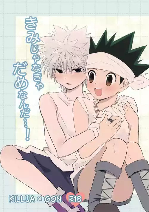 (Re:HUNTER 11) [Koiing (f)] Kimi ja Nakya Dame Nanda…! (Hunter x Hunter)