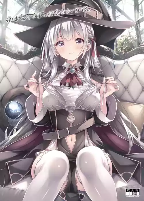 [Botugo (RYO)] Boku wa Majou-sama ni Dekiai Sareteiru. [Digital]