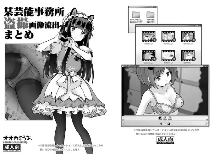 Bou Geinou Jimusho Tousatsu Gazou Ryuushutsu Matome