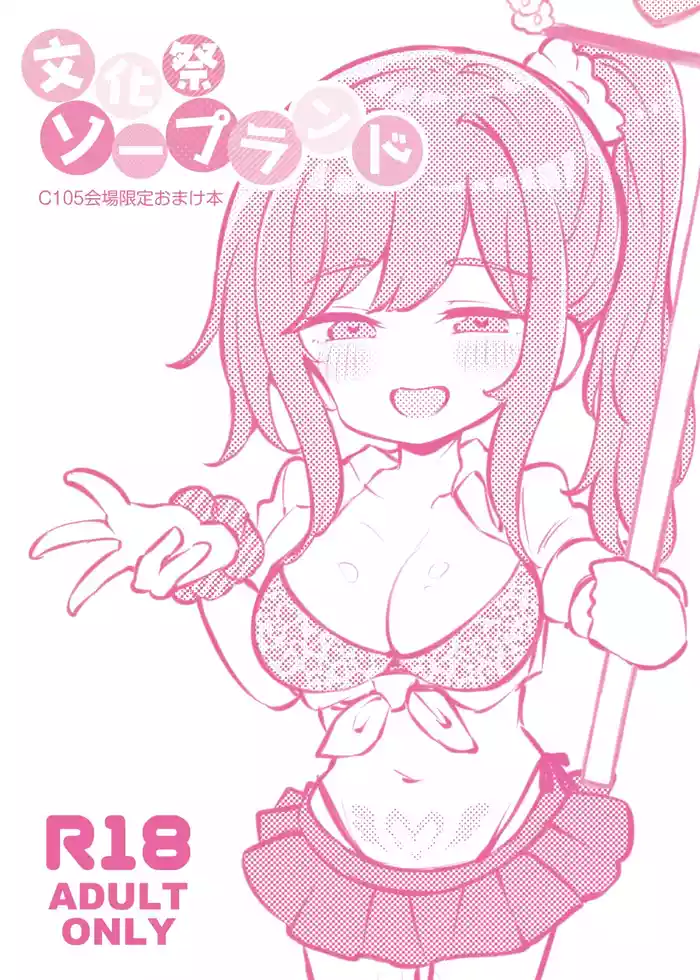 bunka sai so-purandoC105 kaizyou syousassi