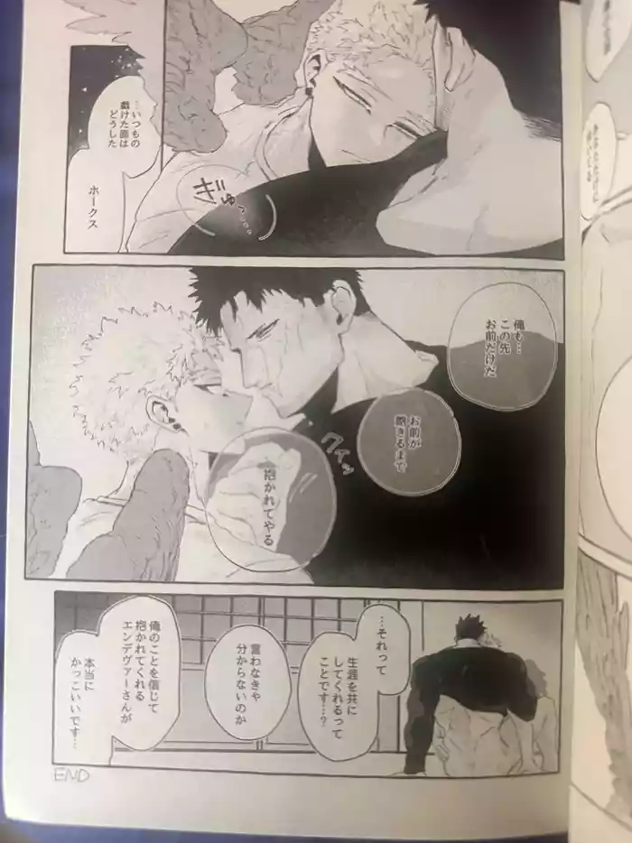 My heroAcademia endever