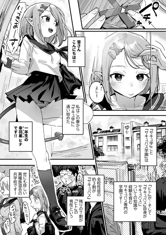 Succubus Gakuen