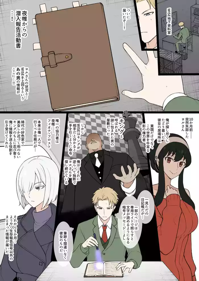 Night Curtain Infiltration Report