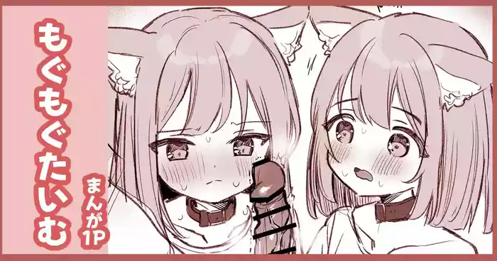 はつじょうにゃんこふたご