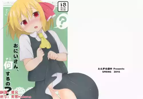 (Reitaisai 13) [Tonzura Douchuu (Kazawa)] Onii-san, Nani Suru no? | 哥，这什么啊 (Touhou Project)[Chinese] [明稿昨拖汉化组]