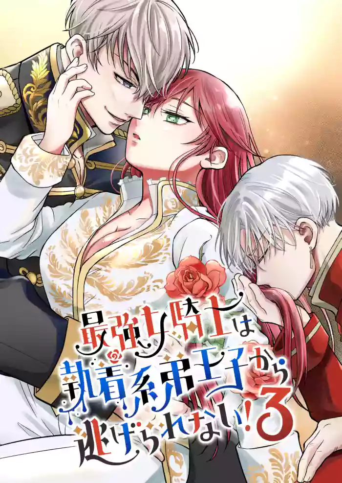 [Mogemoge Land (Mogemoe)] Saikyou Onna Kishi wa Shuuchaku-kei Otouto Ouji kara Nigerarenai! 3