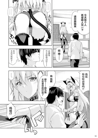 Page 3 of [Digital Flyer (Ohta Yuichi)] Neko to Geboku VI - Cats and servant volume.6 [Chinese] [Digital]