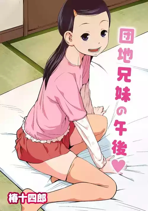[Tsubaki Jushirou] Danchi Kyoudai no Gogo [Chinese]